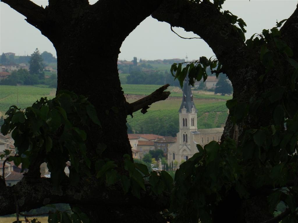 Le Perréon : église et cerisier by perequart