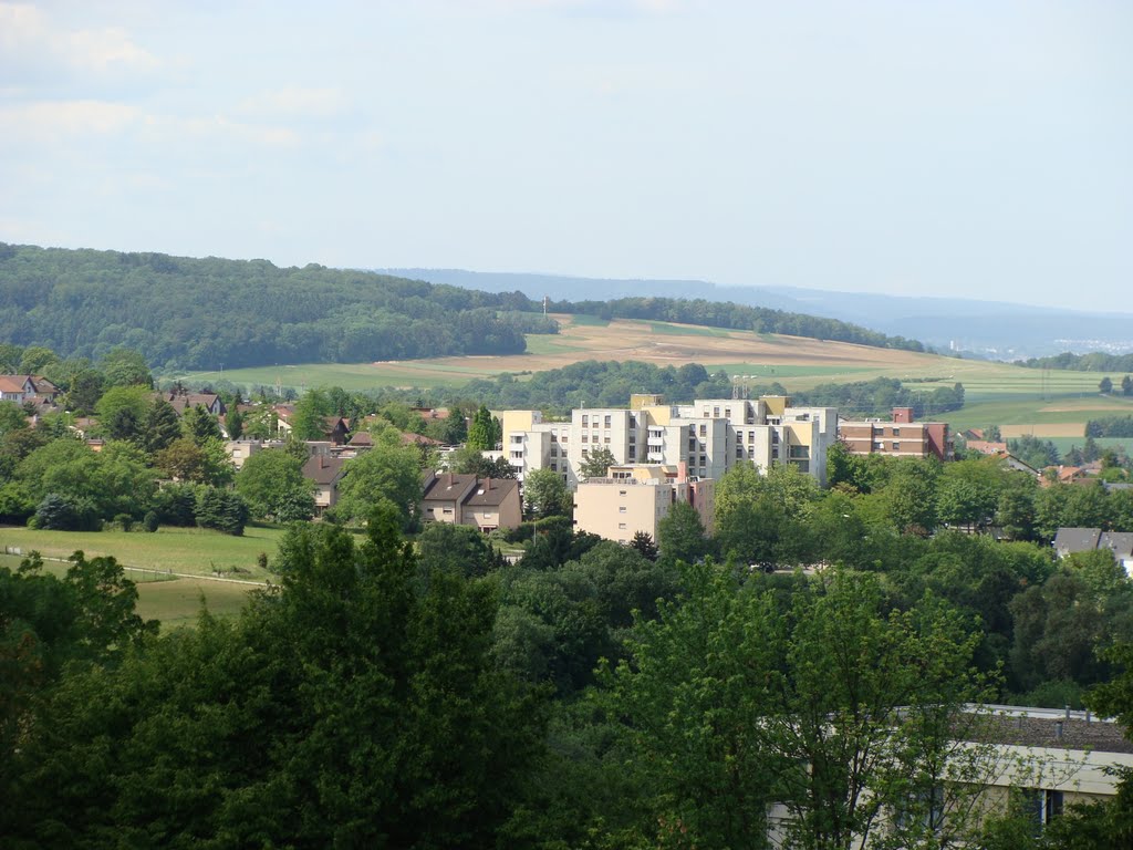 Blick zum Senderhang by Mamoe