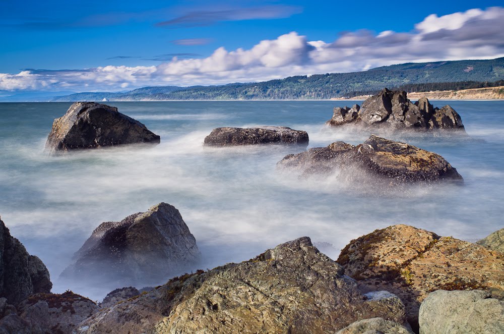 Patrick's Point on a Windswept Afternoon by Greg Nyquist