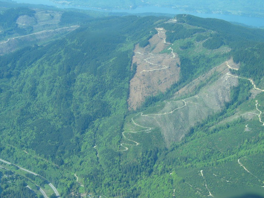 Chuckanut Clearcuts by moontroll