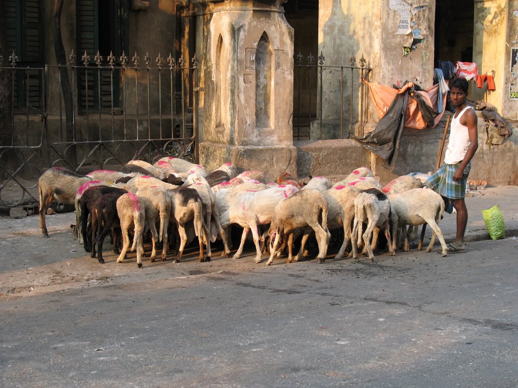 Calcutta - Sudder street by ekopfkiss