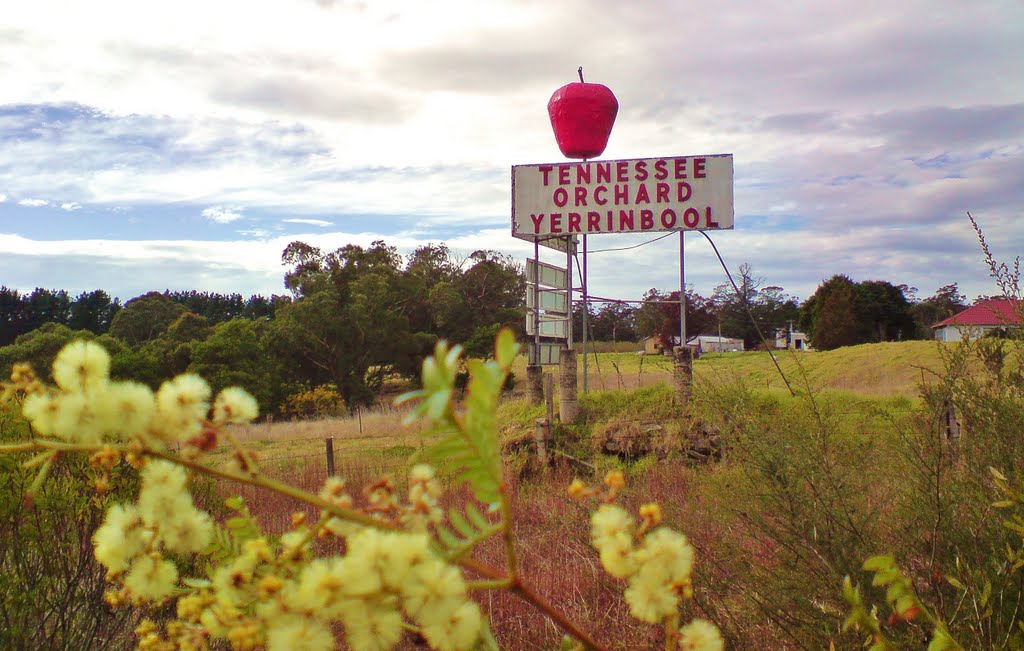 Yerrinbool , local landmark .... by Michael Caine