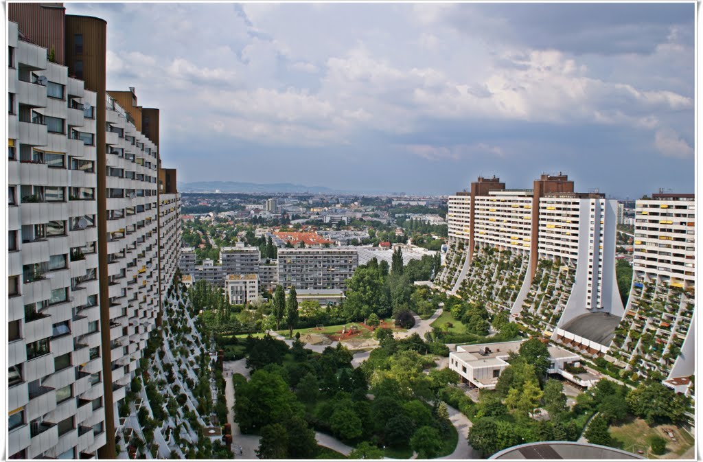 Wien Steinseesiedlung by Maric Ranko