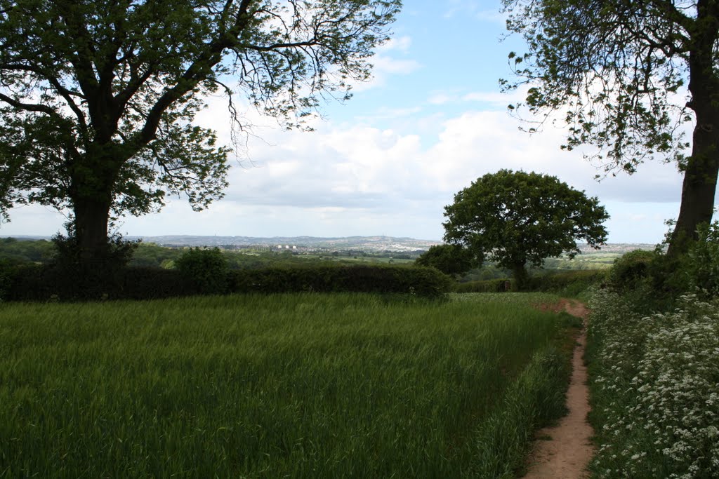 Illey Way by stephen hale