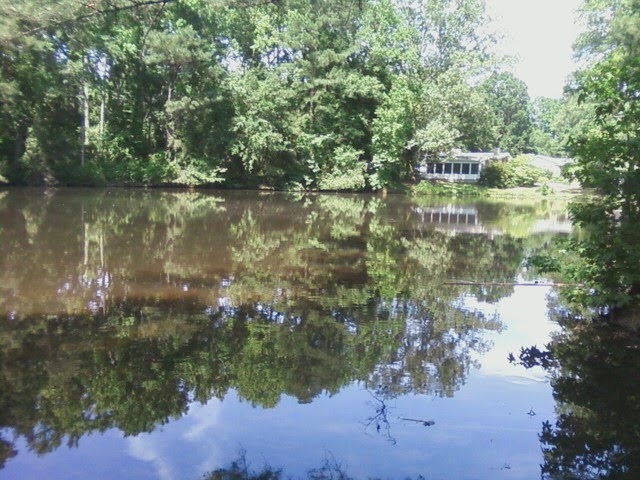 Greenbrier Duck Pond on Winterlochen Rd. by Hollylula