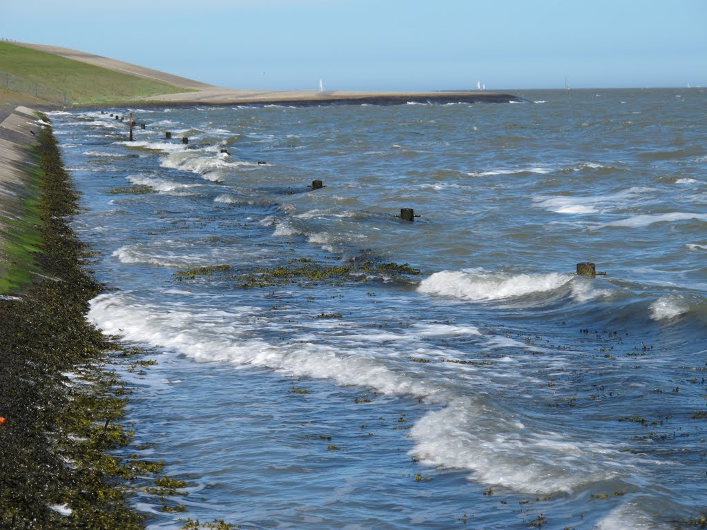 Kalme zee aan zeezijde spuisluizen Lauwersoog by Martijn Burgler