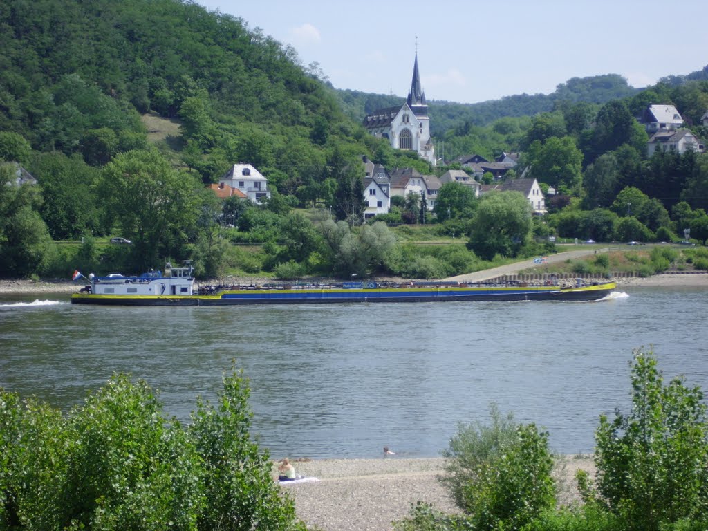 Blick üder den Rhein by dj5ea