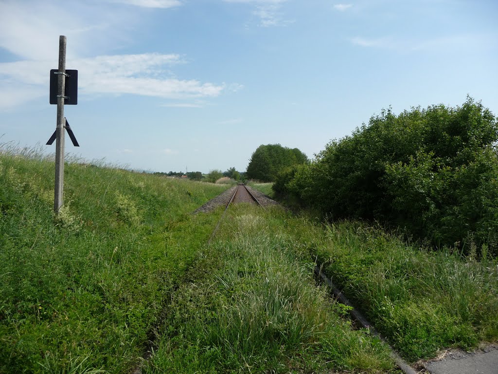 Alte Bahntrasse zwischen Stadtsteinach und Untersteinach by martin-r