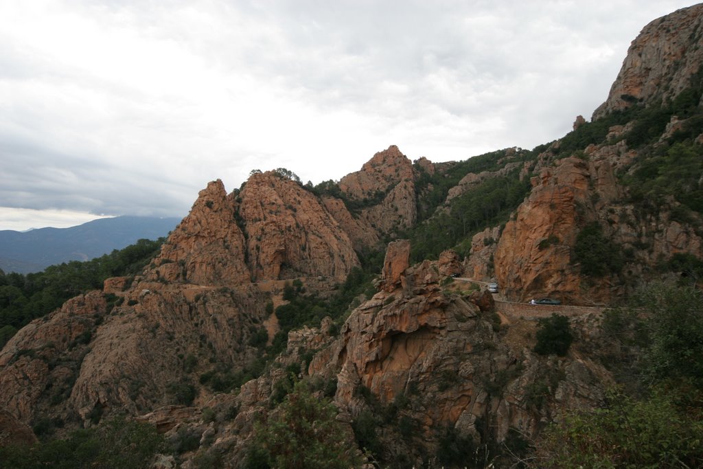 Les Calanches - road between Porto and Piana by florinn