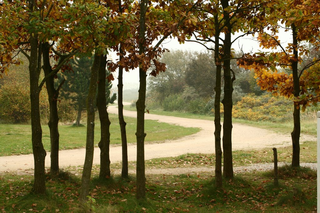 Efterår i Strandparken by Sven Bech