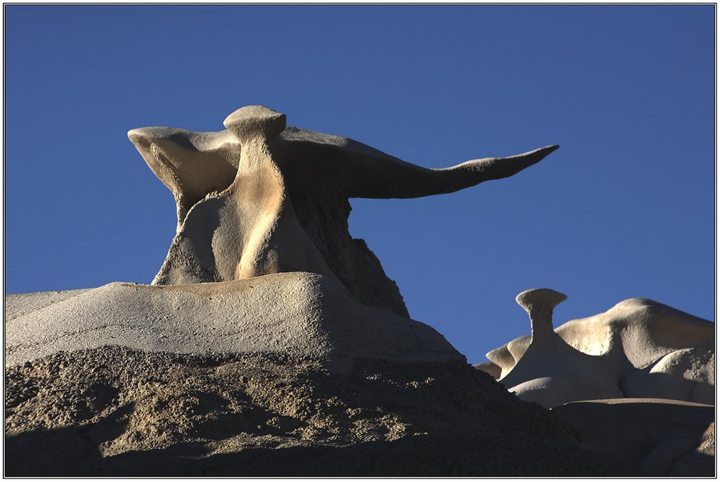 Bisti Badlands. Кто живет в Bisti. by Vladimir Minakov