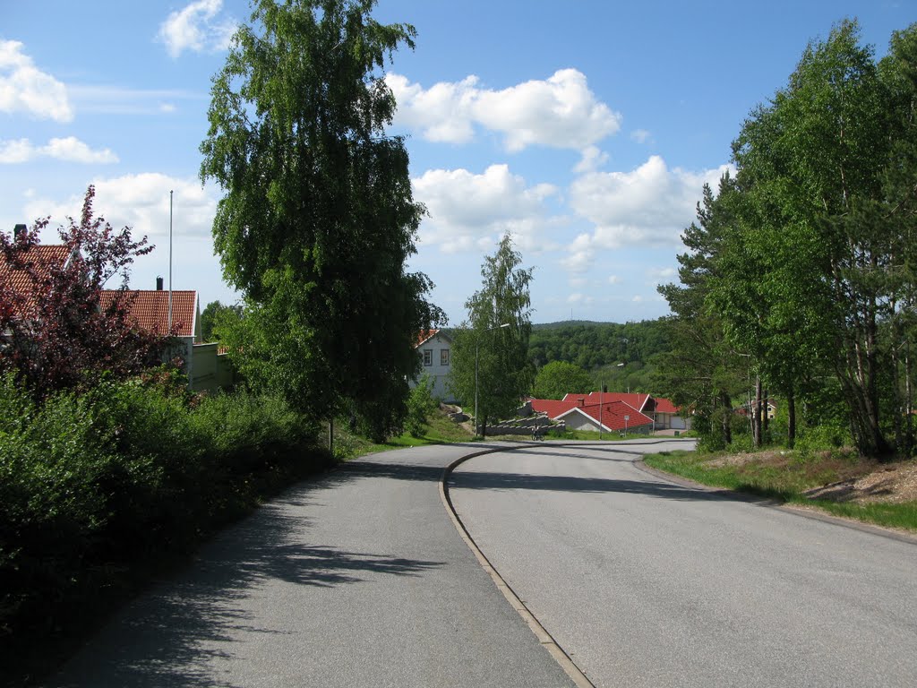 Källarliden, Bohus 2011 by Biketommy