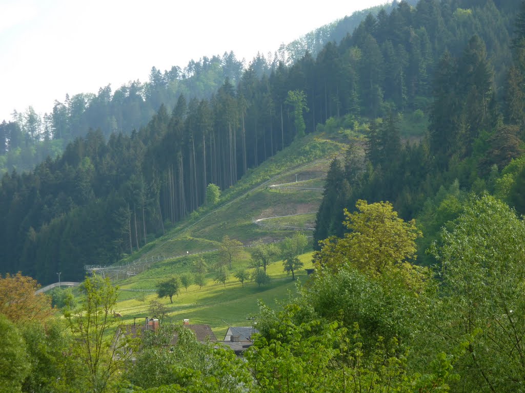 Rodelbahn Gutach by bachus35