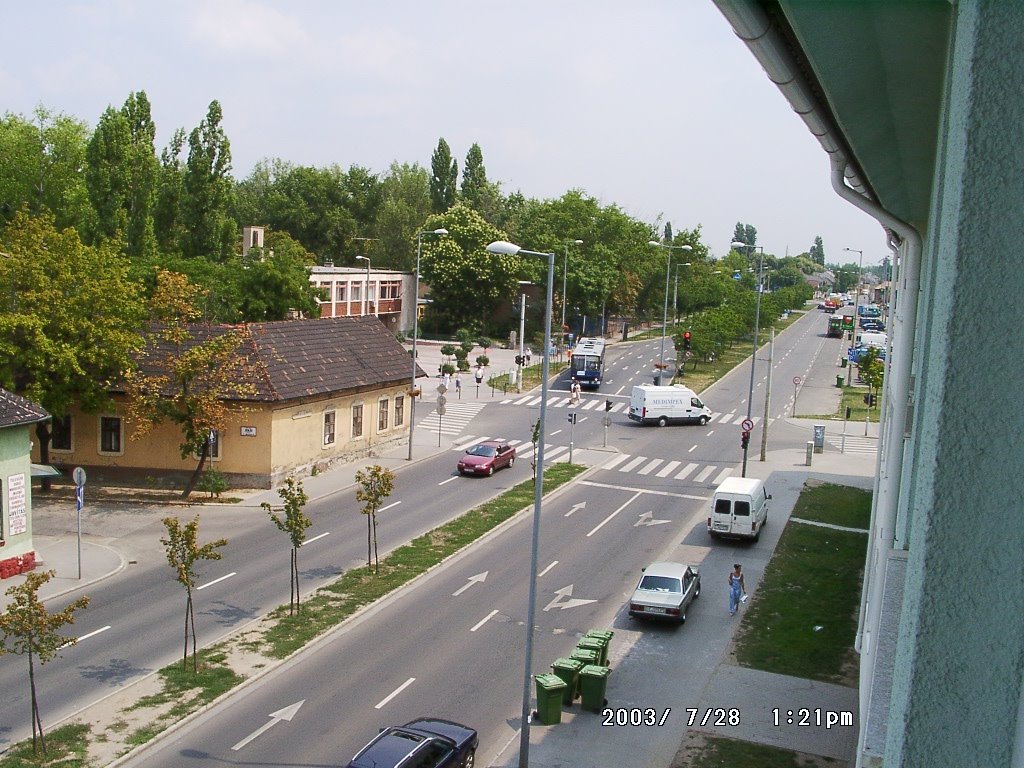 Budapest, Szőcs Áron utca by Csapkó István