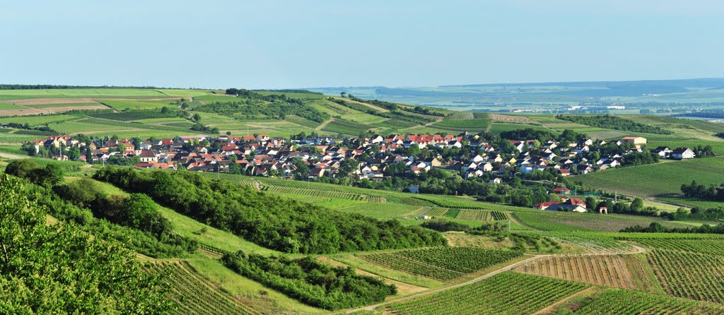 Blick auf Aspisheim by Franz Huber Bingen