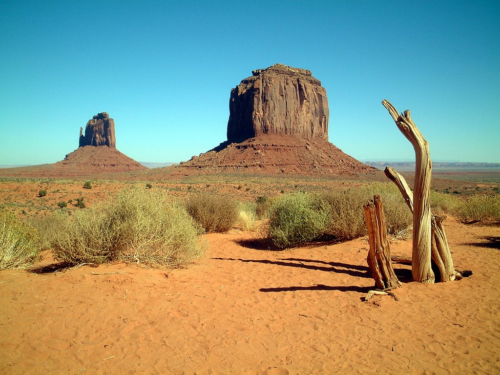 Lone tree at monument valley by ews812d