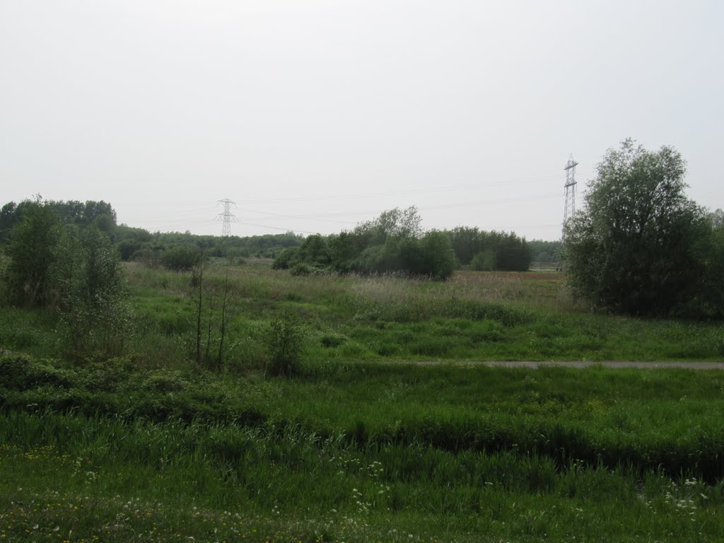 View from the Westkanaaldijk by Willem Nabuurs