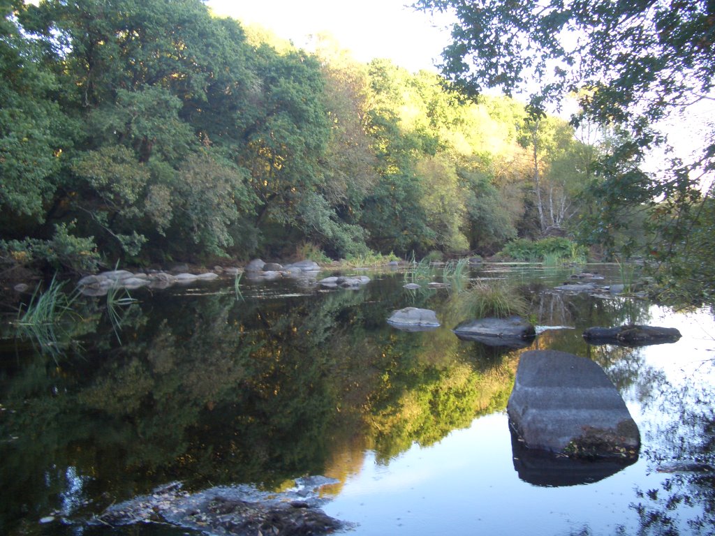 El río en Isla Seivane by Marianela m