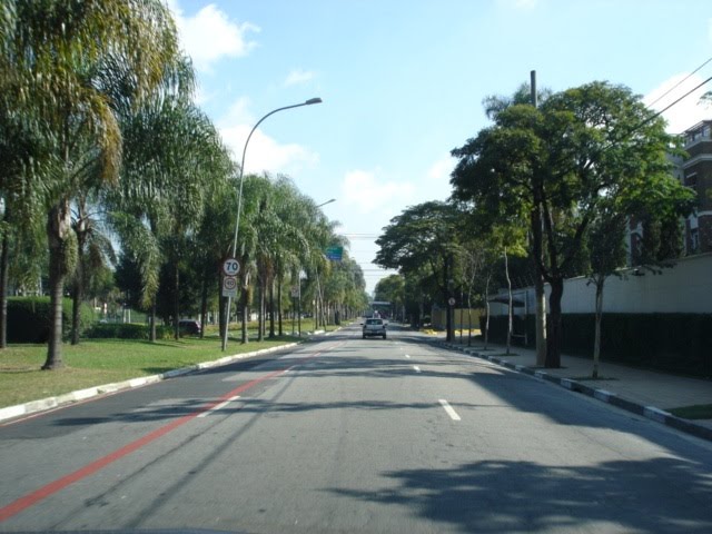 Avenida Professor Fonseca Rodrigues by Moe de Jong