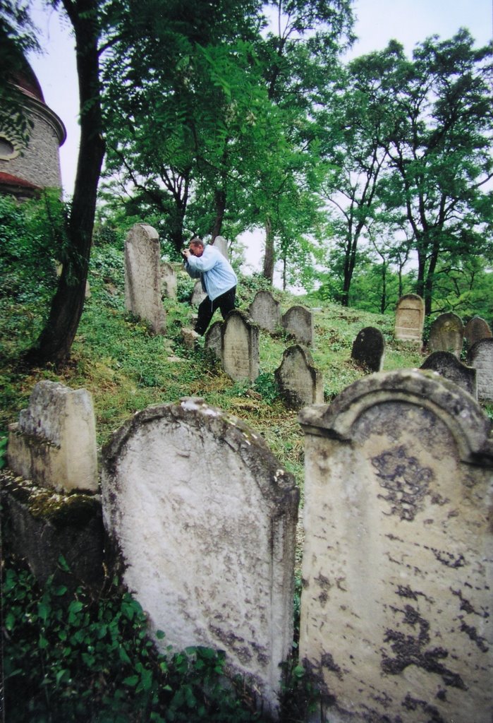 Old jewish graveyard by paul toman