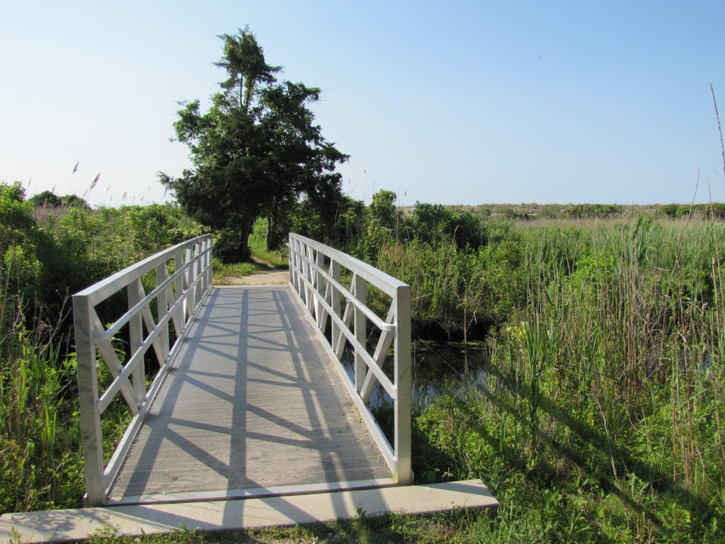 Cape May Point Hiking Trail Bridge by Chris Sanfino