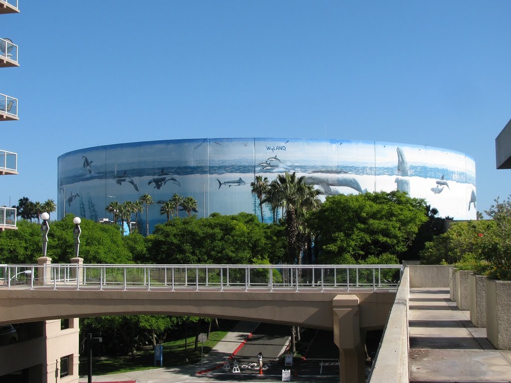 Long Beach Arena, Long Beach, California by patakieva