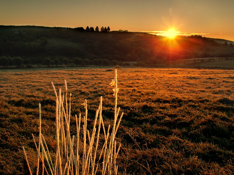 Moje Bieszczady by Jerzy Malicki