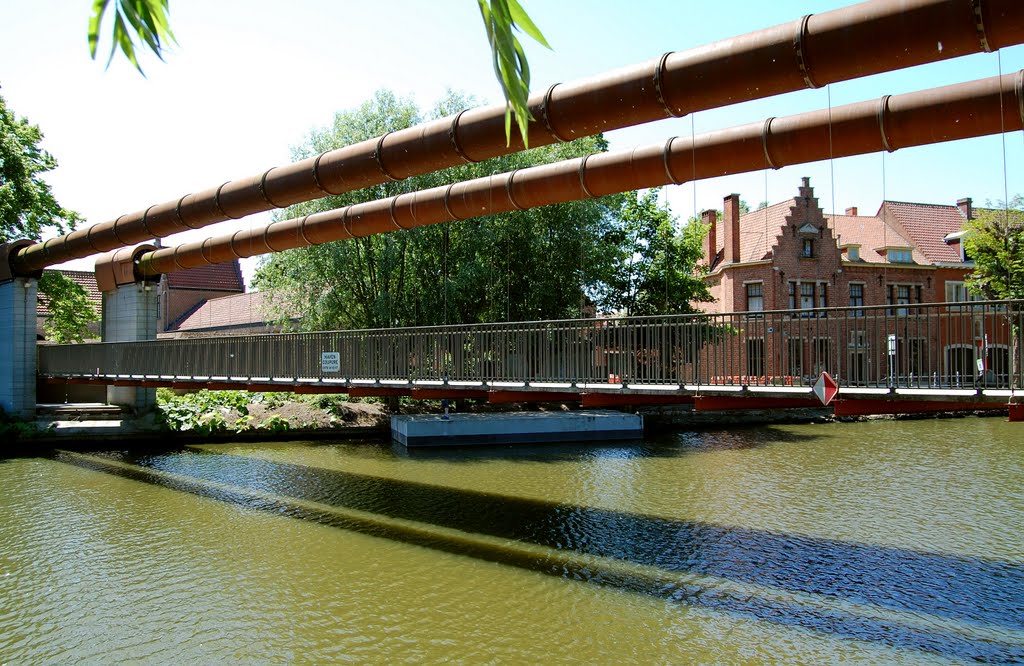 Whoops! I nearly got caught up on this bridge. What a wind up! by Amelia Royan