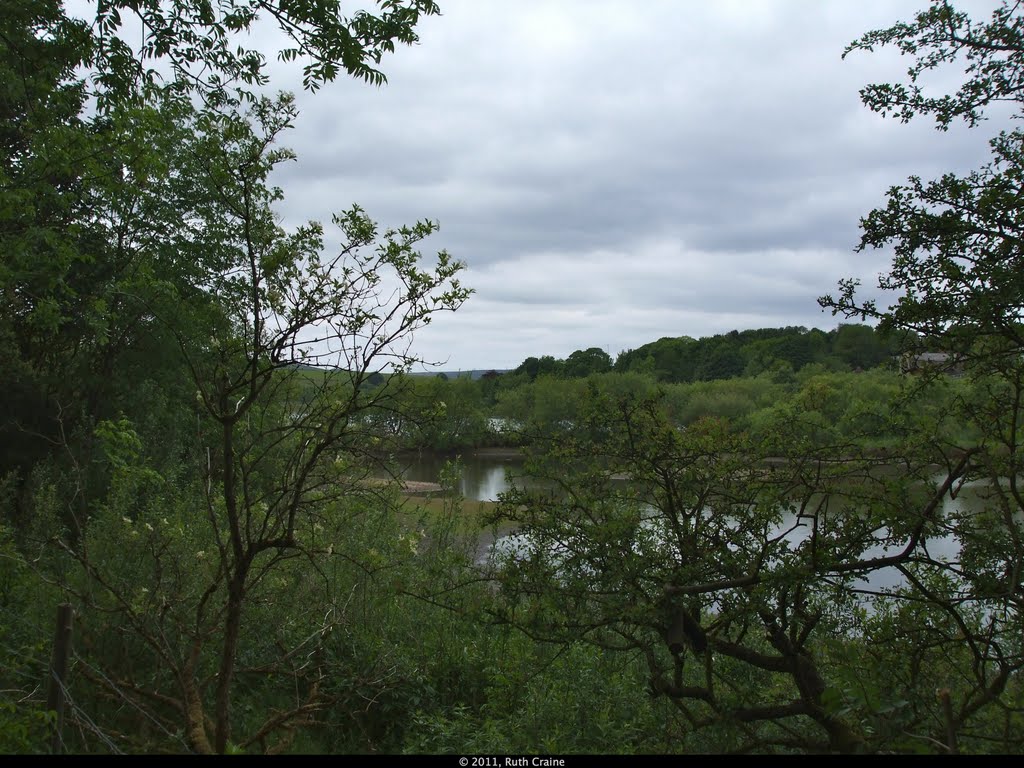 Hollingworth Lake Nature Reserve. by rustyruth