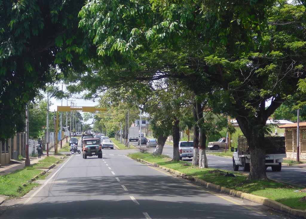 Avenida Valmore Rodríguez entre Estadio y Av Ravell by Juan Ruiz Correa