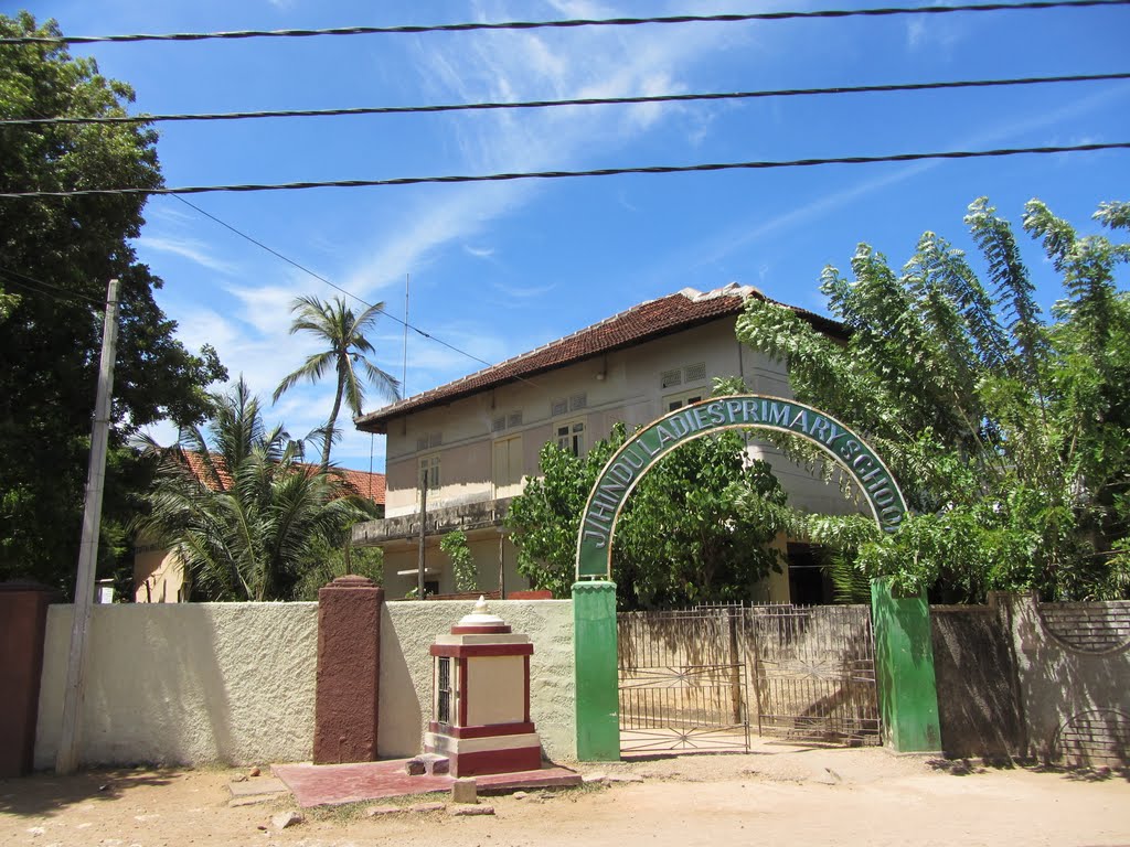 Hindu Ladies Primary School (இந்து மகளிர் ஆரம்பப் பாடசாலை) by Umapathy