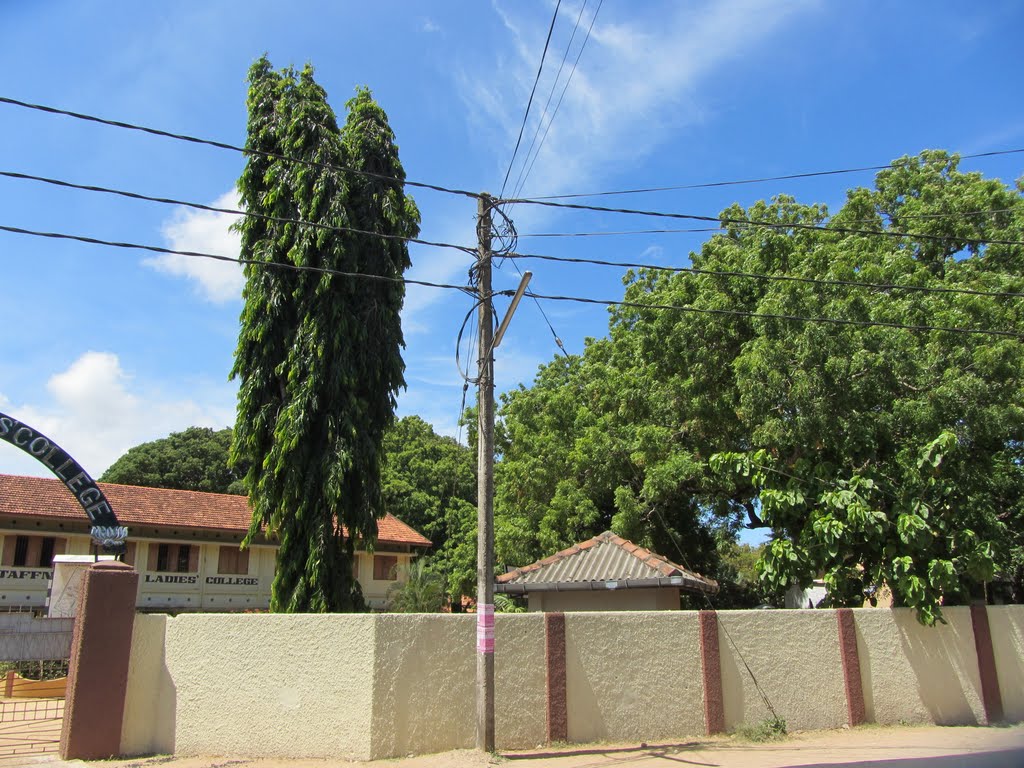 Hindu Ladies College (இந்து மகளிர் கல்லூரி) by Umapathy