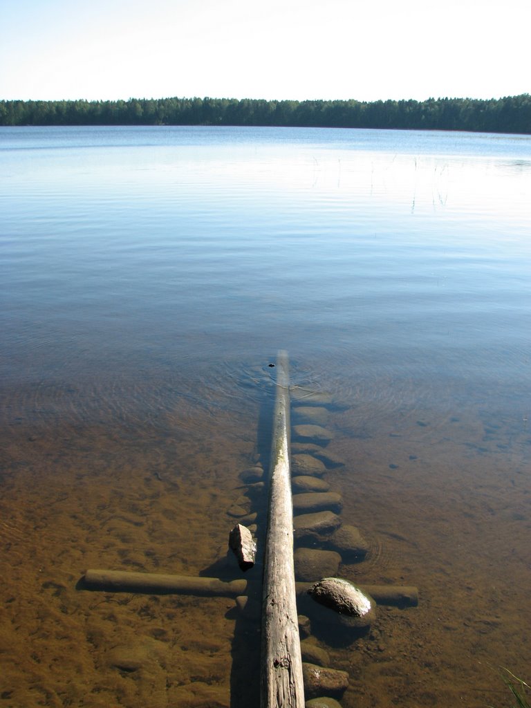 Vyborgsky District, Leningrad Oblast, Russia by Andrey Kovalenko