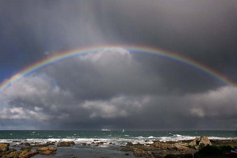 View from Wellington South Coast by Fritz Schöne