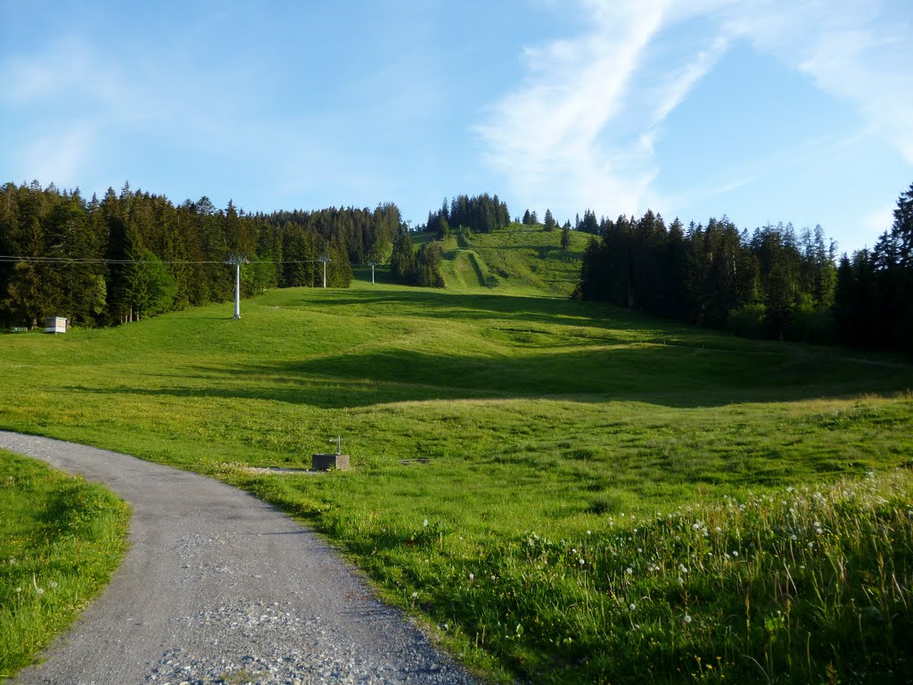 Bödele blick zum Lank by Austriapix