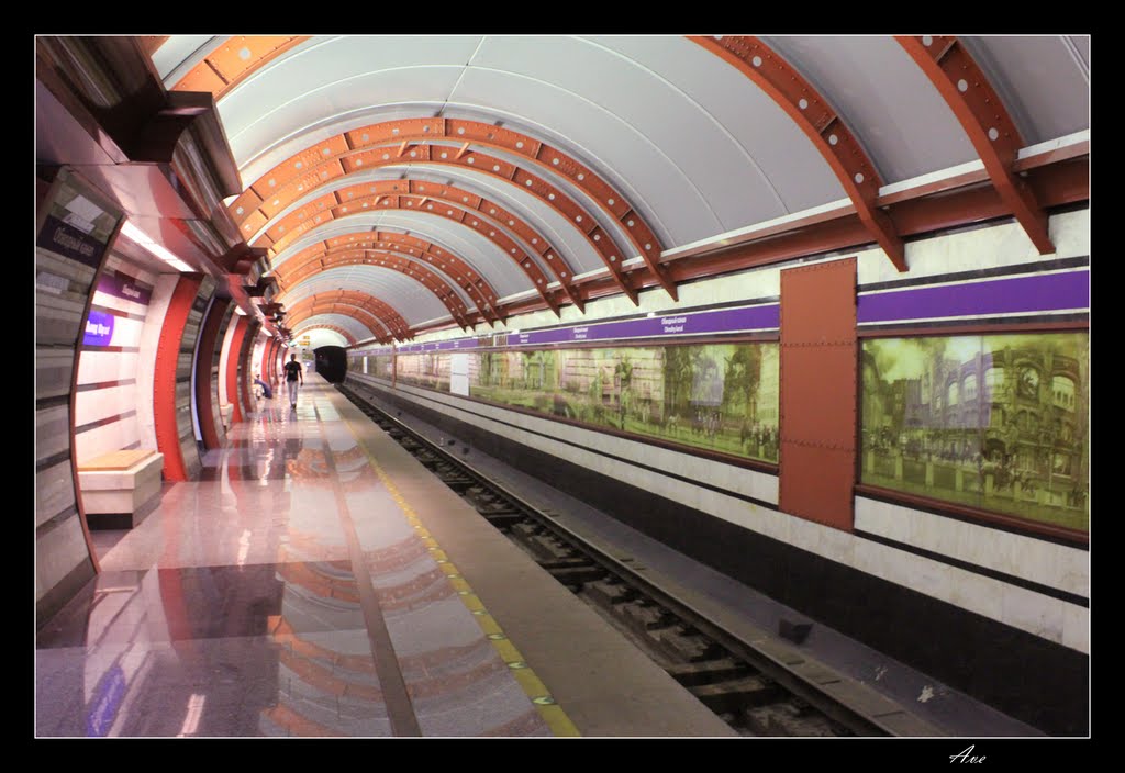 Sankt-Peterburg. Underground station the Obvodny kanal. by Andrey EFIMOVSKY