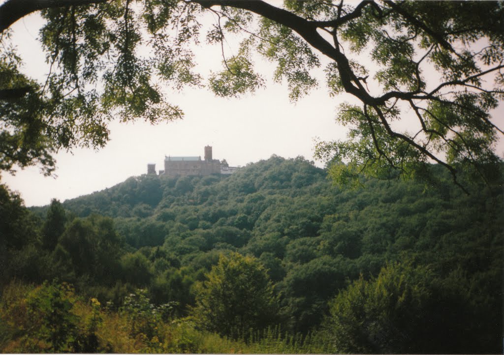 Blick zur Wartburg by uwemetallix