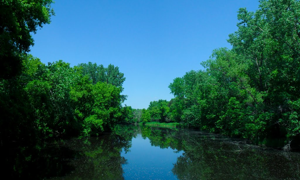 Southwood Nature Preserve by mn_patrick31