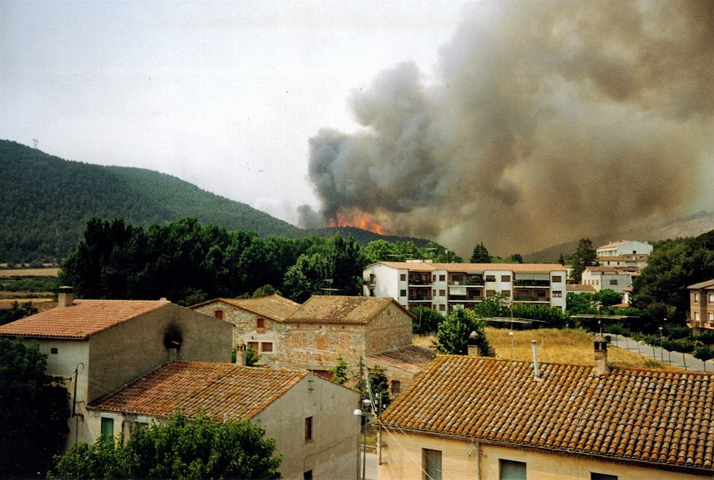 Foc a Bigues (Catalunya) 04 juliol 1994 by Saül Pau