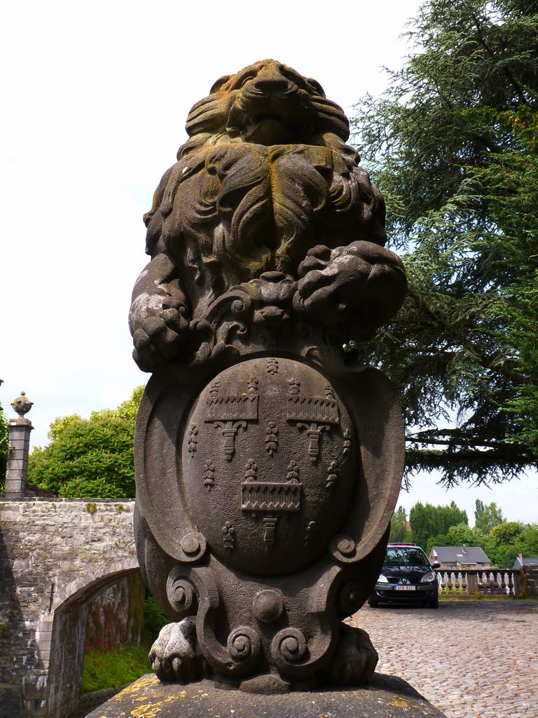 Au château d'Ecaussinnes by Rudy Pické