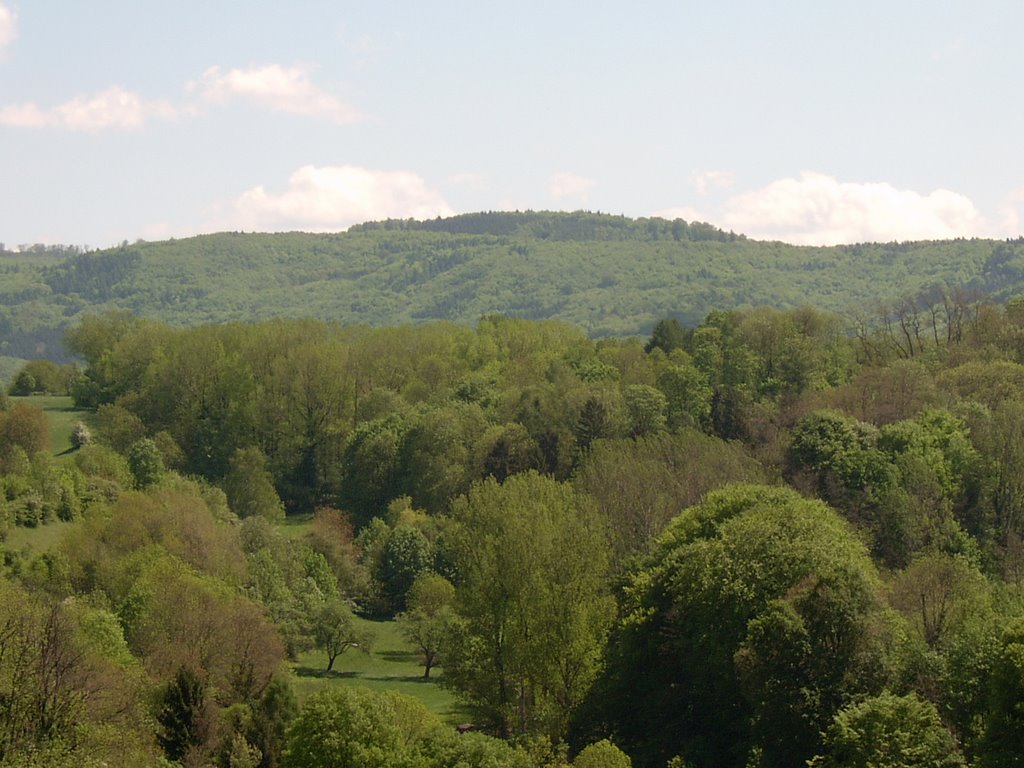 Talraum bei Schönberg by Armin Silber