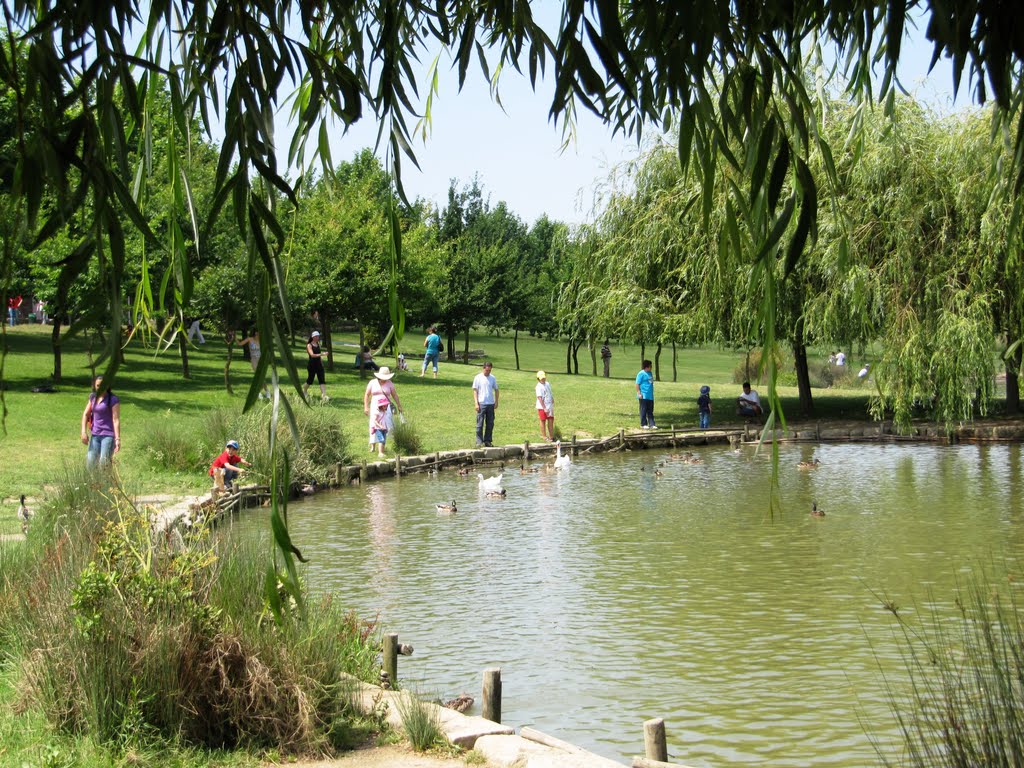 Chorões do Lago da Paz, Parque da Paz, Almada by Margarida Bico