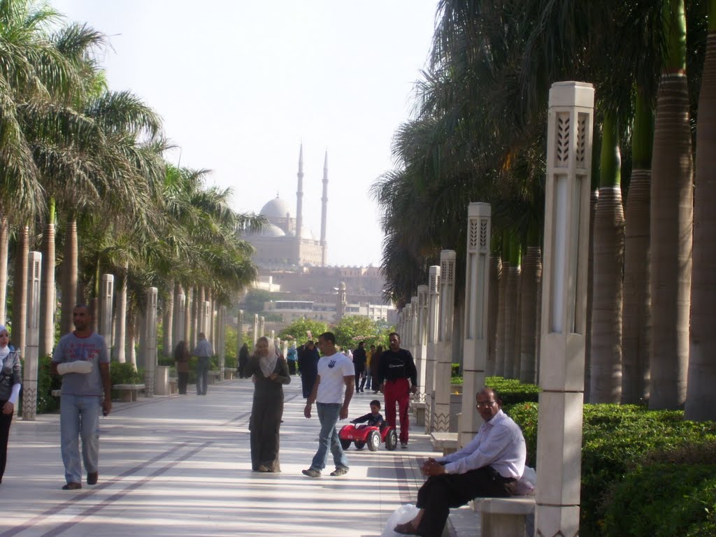 La Mezquita de Salah Al-Din desde El Azahar by Bernardo Nieuwland