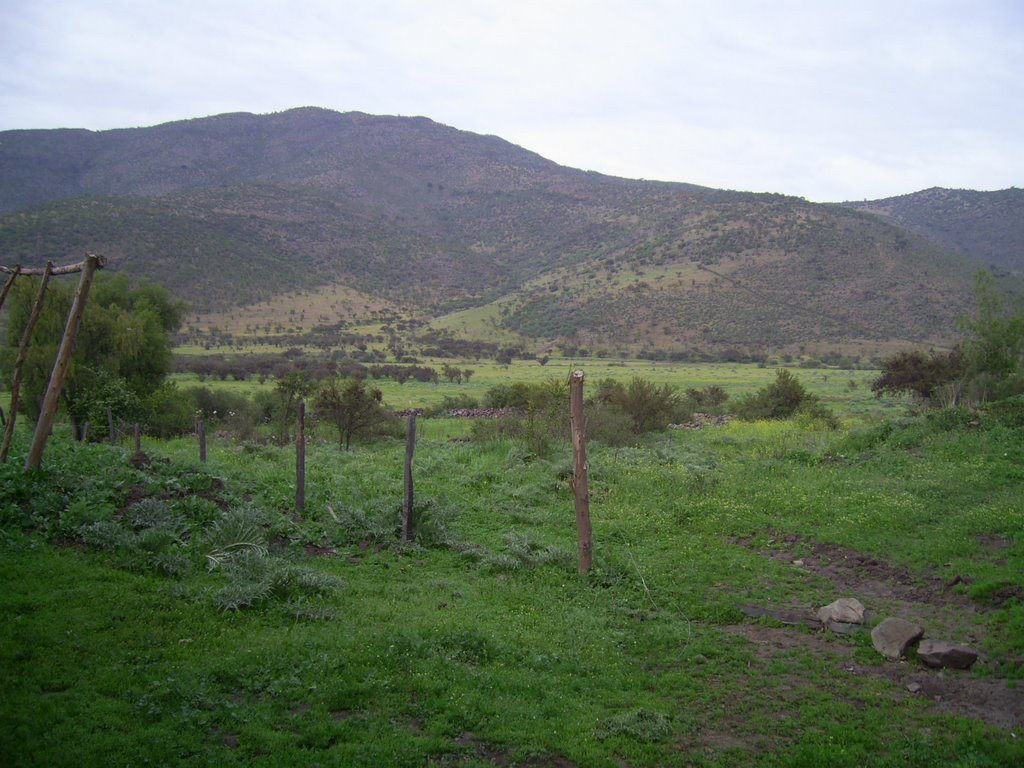 Los Perales, Alicahue. Vista: SW. Desde la sede social "Union y Esperanza". by Gerald Foxon