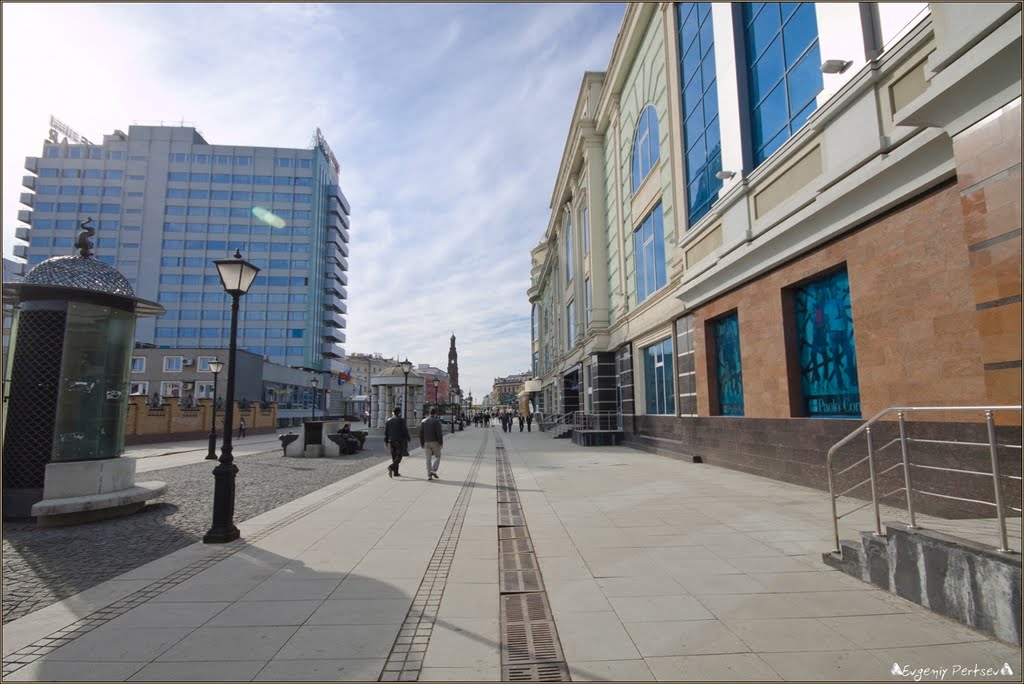 Прогулка по Петербургской... - Walking through St. Petersburg... by Евгений Перцев ©