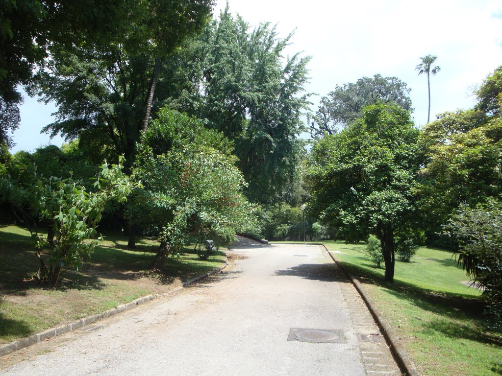 Orto Botanico by Geosergio