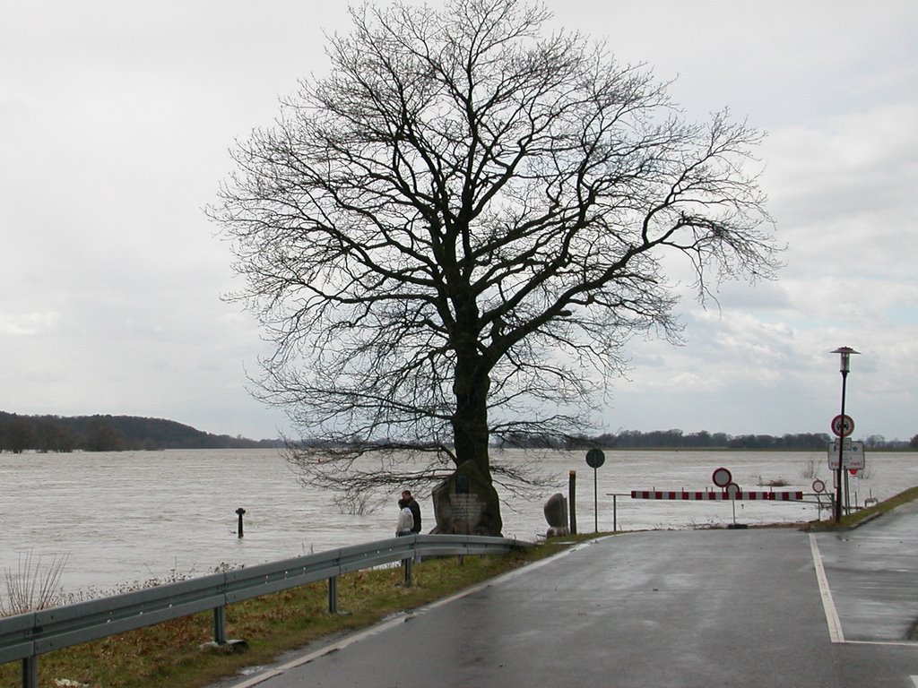 Fähranleger Hochwasser 2006 by FHG