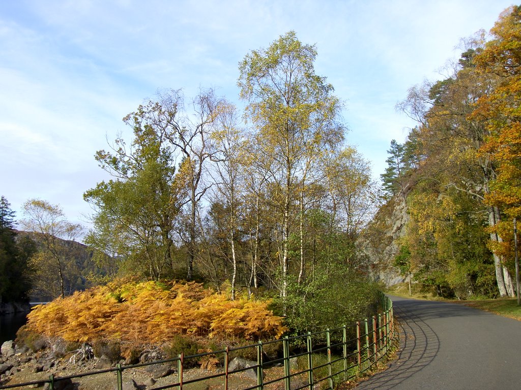 Cycle/Walk Way, Loch Katrine by Jim Cornwall