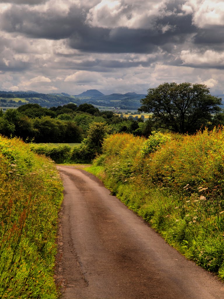 Shropshire by Tim Gardner