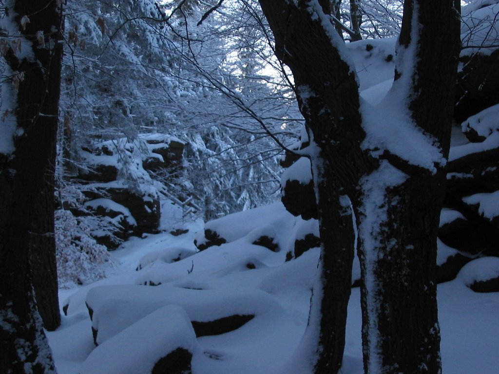 Kälbersteine im Winter 2 by Oliver_Harig